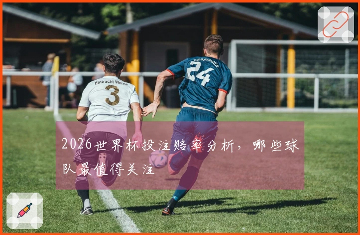 2026世界杯投注赔率分析，哪些球队最值得关注