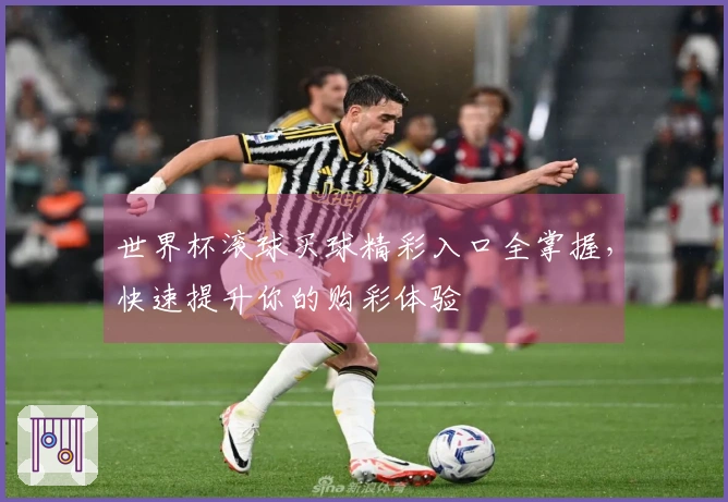 世界杯滚球买球精彩入口全掌握，快速提升你的购彩体验