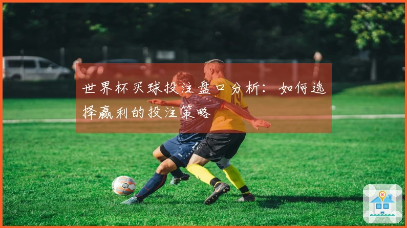 世界杯买球投注盘口分析：如何选择赢利的投注策略