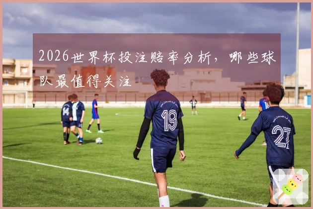 2026世界杯投注赔率分析，哪些球队最值得关注