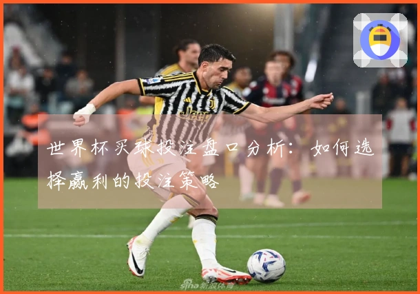世界杯买球投注盘口分析：如何选择赢利的投注策略