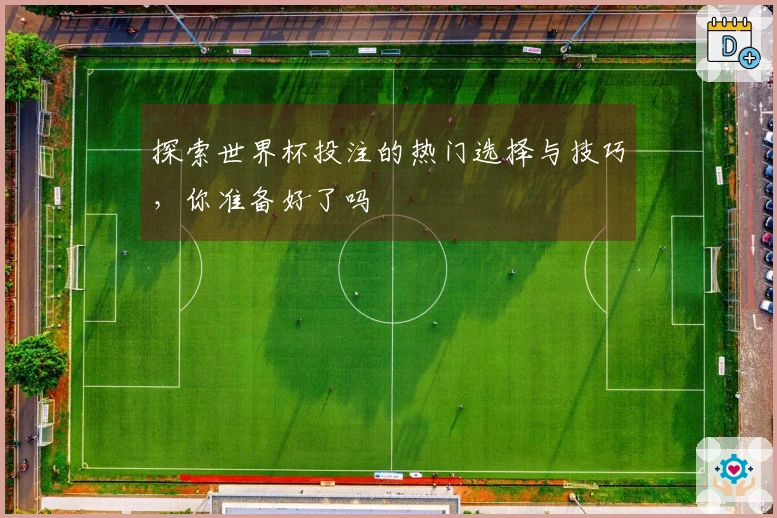 探索世界杯投注的热门选择与技巧，你准备好了吗