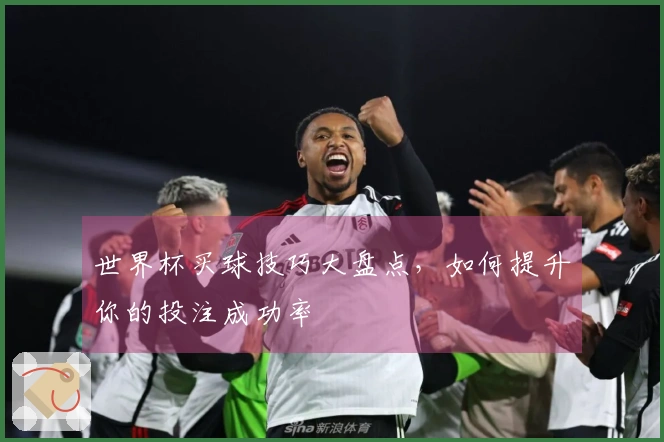 世界杯买球技巧大盘点，如何提升你的投注成功率
