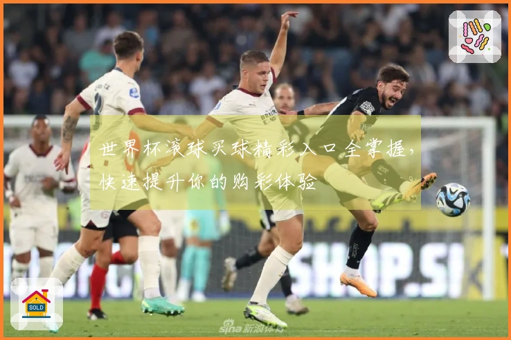 世界杯滚球买球精彩入口全掌握，快速提升你的购彩体验