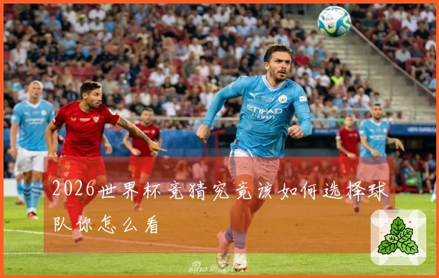 2026世界杯竞猜究竟该如何选择球队你怎么看