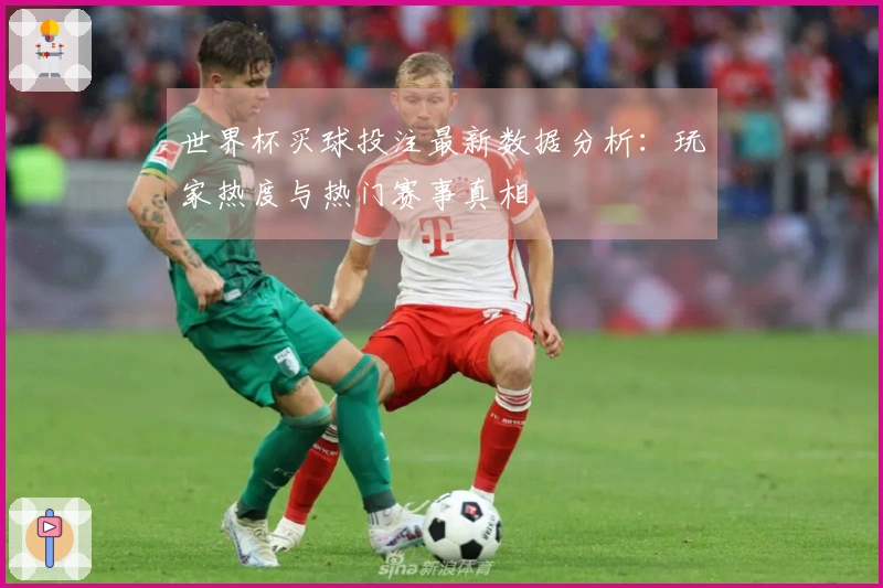 世界杯买球投注最新数据分析：玩家热度与热门赛事真相