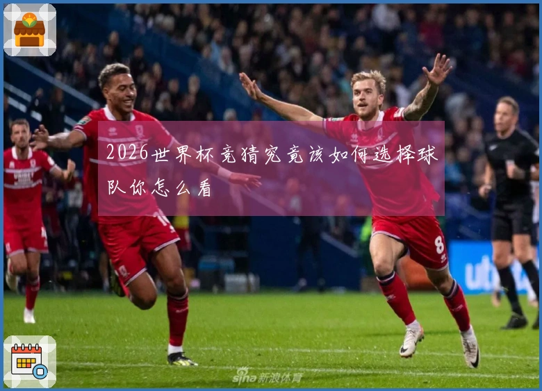2026世界杯竞猜究竟该如何选择球队你怎么看