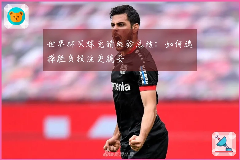 世界杯买球竞猜经验总结：如何选择胜负投注更稳妥